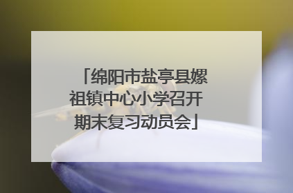 绵阳市盐亭县嫘祖镇中心小学召开期末复习动员会