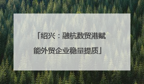 绍兴：融杭数贸港赋能外贸企业稳量提质
