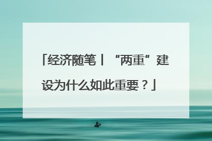 经济随笔丨“两重”建设为什么如此重要？