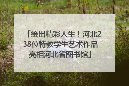 绘出精彩人生！河北238位特教学生艺术作品亮相河北省图书馆