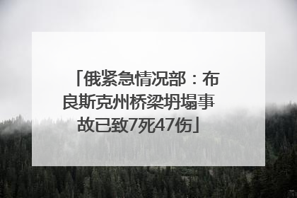 俄紧急情况部：布良斯克州桥梁坍塌事故已致7死47伤