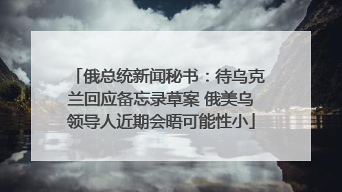 俄总统新闻秘书：待乌克兰回应备忘录草案 俄美乌领导人近期会晤可能性小