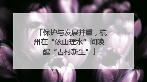 保护与发展并重，杭州在“依山理水”间唤醒“古村新生”