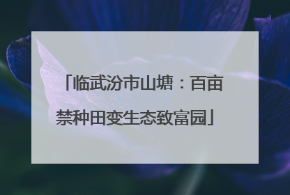临武汾市山塘：百亩禁种田变生态致富园