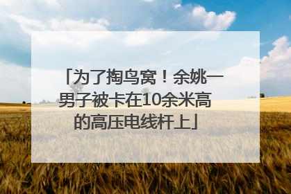 为了掏鸟窝！余姚一男子被卡在10余米高的高压电线杆上