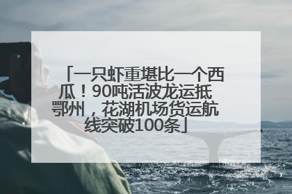 一只虾重堪比一个西瓜！90吨活波龙运抵鄂州，花湖机场货运航线突破100条