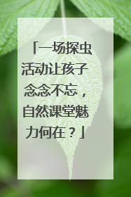 一场探虫活动让孩子念念不忘，自然课堂魅力何在？