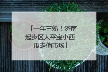 一年三熟！济南起步区太平宝小西瓜走俏市场