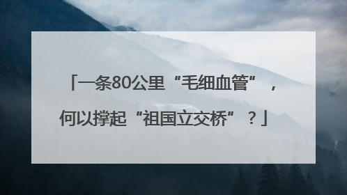 一条80公里“毛细血管”，何以撑起“祖国立交桥”？