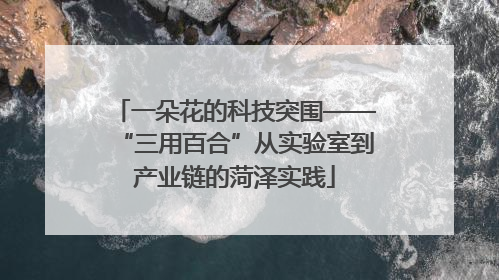 一朵花的科技突围——“三用百合”从实验室到产业链的菏泽实践