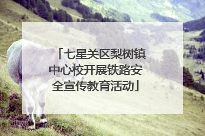 七星关区梨树镇中心校开展铁路安全宣传教育活动