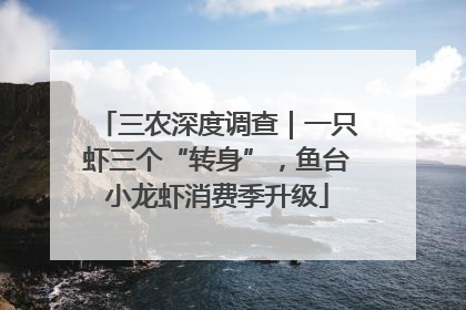 三农深度调查｜一只虾三个“转身”，鱼台小龙虾消费季升级
