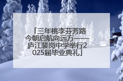 三年桃李芬芳路 今朝启航向远方——庐江裴岗中学举行2025届毕业典礼