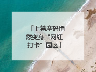 上第摩码悄然变身“网红打卡”园区