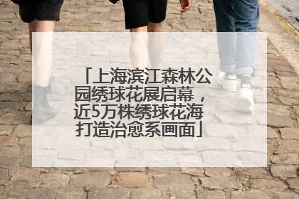 上海滨江森林公园绣球花展启幕，近5万株绣球花海打造治愈系画面