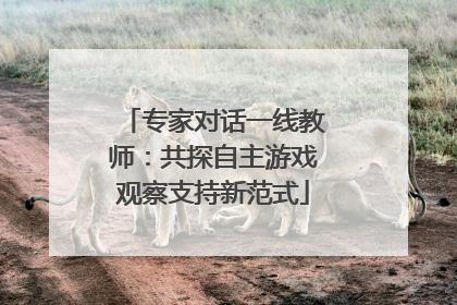 专家对话一线教师：共探自主游戏观察支持新范式