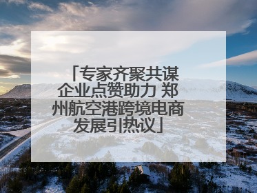 专家齐聚共谋 企业点赞助力 郑州航空港跨境电商发展引热议