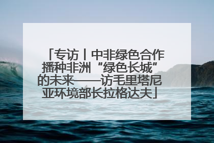 专访丨中非绿色合作播种非洲“绿色长城”的未来——访毛里塔尼亚环境部长拉格达夫