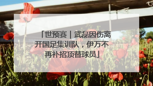 世预赛｜武磊因伤离开国足集训队，伊万不再补招顶替球员