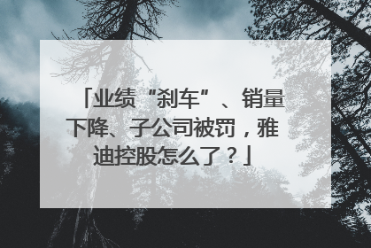 业绩“刹车”、销量下降、子公司被罚，雅迪控股怎么了？