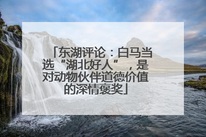 东湖评论：白马当选“湖北好人”，是对动物伙伴道德价值的深情褒奖