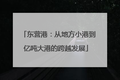 东营港：从地方小港到亿吨大港的跨越发展