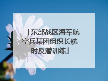 东部战区海军航空兵某团组织长航时反潜训练