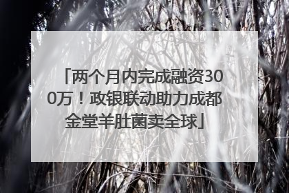 两个月内完成融资300万！政银联动助力成都金堂羊肚菌卖全球
