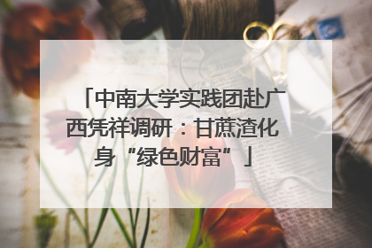 中南大学实践团赴广西凭祥调研：甘蔗渣化身“绿色财富”