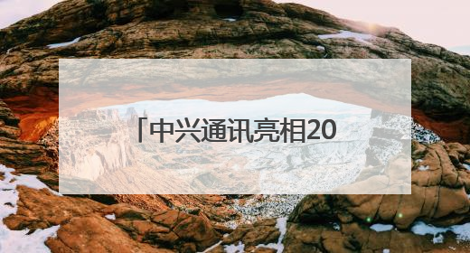 中兴通讯亮相2025全球人工智能终端展，展示AI全场景生态布局