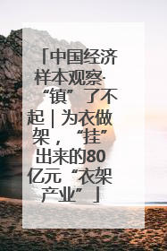 中国经济样本观察·“镇”了不起｜为衣做架，“挂”出来的80亿元“衣架产业”