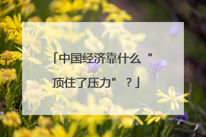 中国经济靠什么“顶住了压力”？