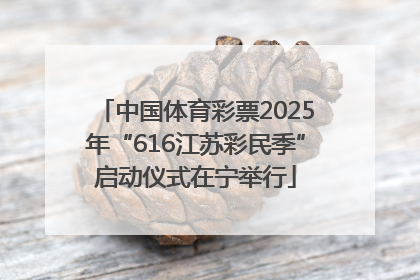 中国体育彩票2025年“616江苏彩民季”启动仪式在宁举行