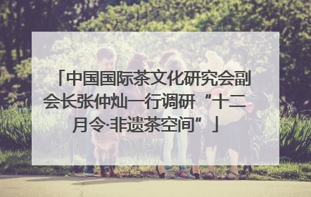 中国国际茶文化研究会副会长张仲灿一行调研“十二月令·非遗茶空间”