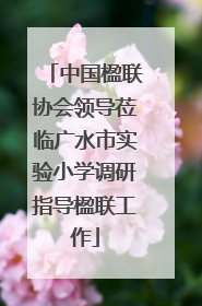 中国楹联协会领导莅临广水市实验小学调研指导楹联工作