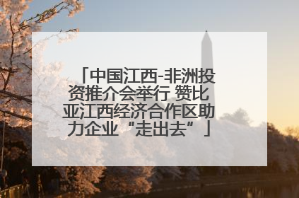 中国江西-非洲投资推介会举行 赞比亚江西经济合作区助力企业“走出去”