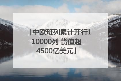 中欧班列累计开行110000列 货值超4500亿美元
