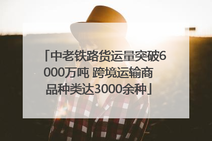 中老铁路货运量突破6000万吨 跨境运输商品种类达3000余种