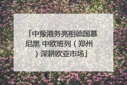 中豫港务亮相德国慕尼黑 中欧班列（郑州）深耕欧亚市场