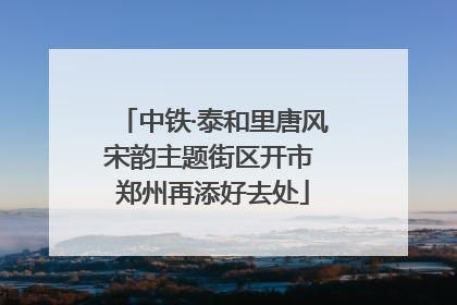 中铁·泰和里唐风宋韵主题街区开市 郑州再添好去处