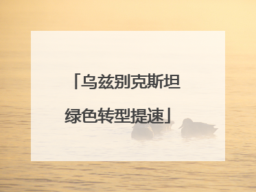 乌兹别克斯坦绿色转型提速