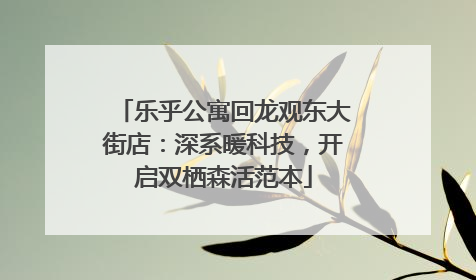 乐乎公寓回龙观东大街店：深系暖科技，开启双栖森活范本