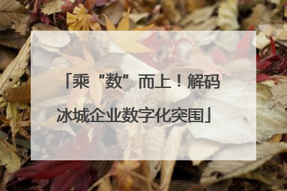 乘“数”而上！解码冰城企业数字化突围