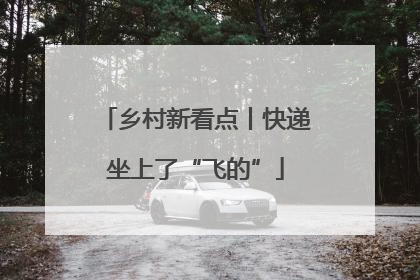 乡村新看点丨快递坐上了“飞的”