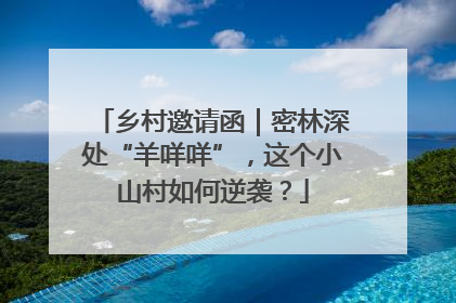 乡村邀请函｜密林深处“羊咩咩”，这个小山村如何逆袭？
