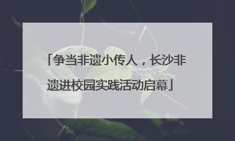 争当非遗小传人，长沙非遗进校园实践活动启幕