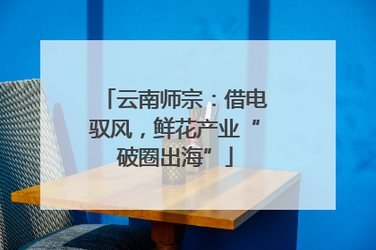 云南师宗：借电驭风，鲜花产业“破圈出海”