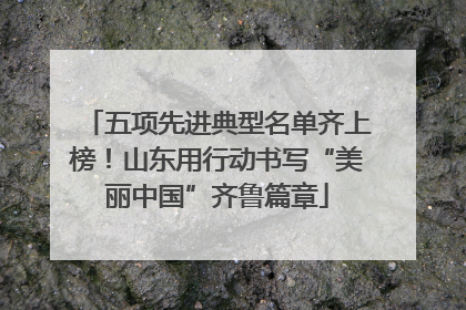 五项先进典型名单齐上榜！山东用行动书写“美丽中国”齐鲁篇章