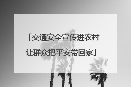 交通安全宣传进农村 让群众把平安带回家