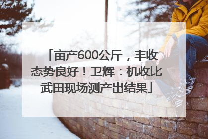 亩产600公斤，丰收态势良好！卫辉：机收比武田现场测产出结果